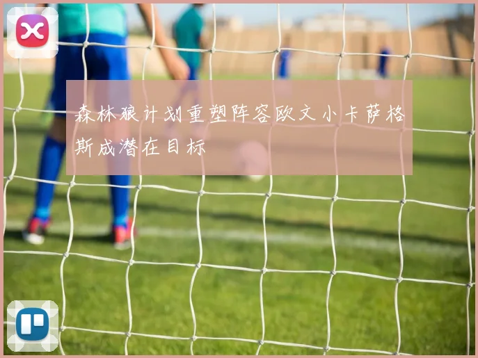 森林狼计划重塑阵容欧文小卡萨格斯成潜在目标